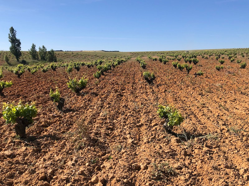 CULINAIRE PRODUCTIES - ZAMORA 2
