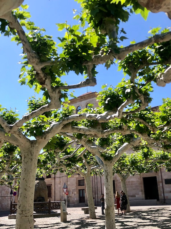CULINAIRE PRODUCTIES - ZAMORA 2