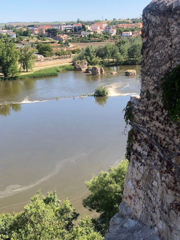 CULINAIRE PRODUCTIES - ZAMORA 2