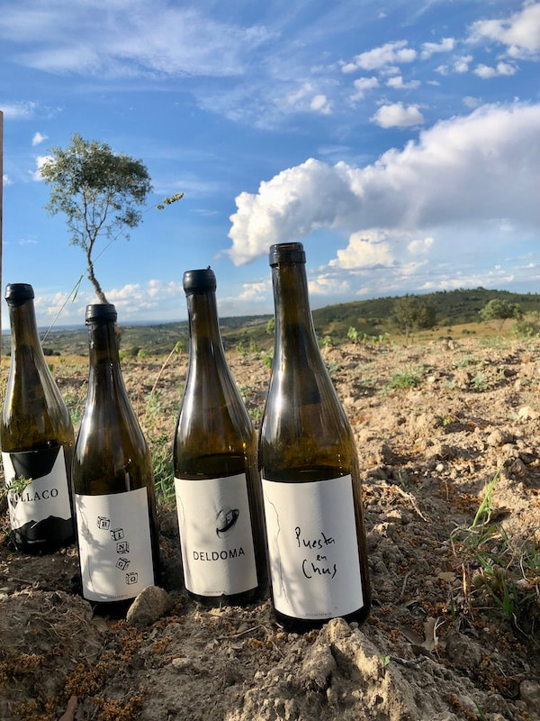 CULINAIRE PRODUCTIES ZAMORA 3 - Bodega Frontio