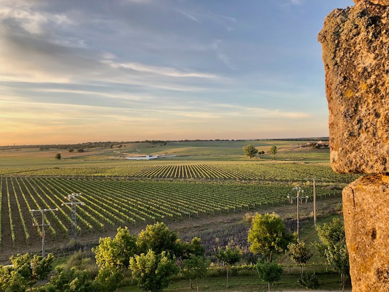 CULINAIRE PRODUCTIES ZAMORA 3 - Posado Castillo del Buen Amor