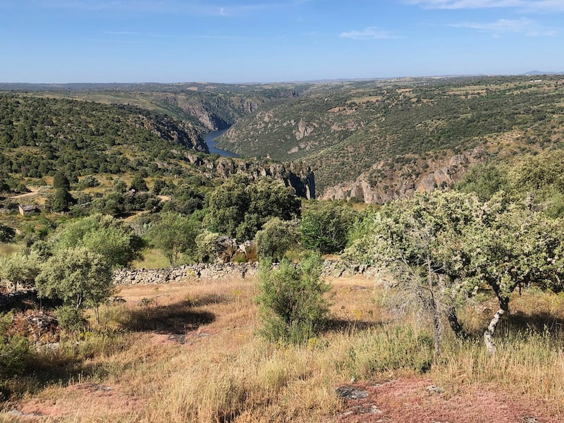 CULINAIRE PRODUCTIES ZAMORA 3 - Mirador de Las Barrancas