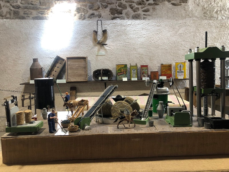 CULINAIRE PRODUCTIES ZAMORA 3 - Olijfmuseum in Fermoselle